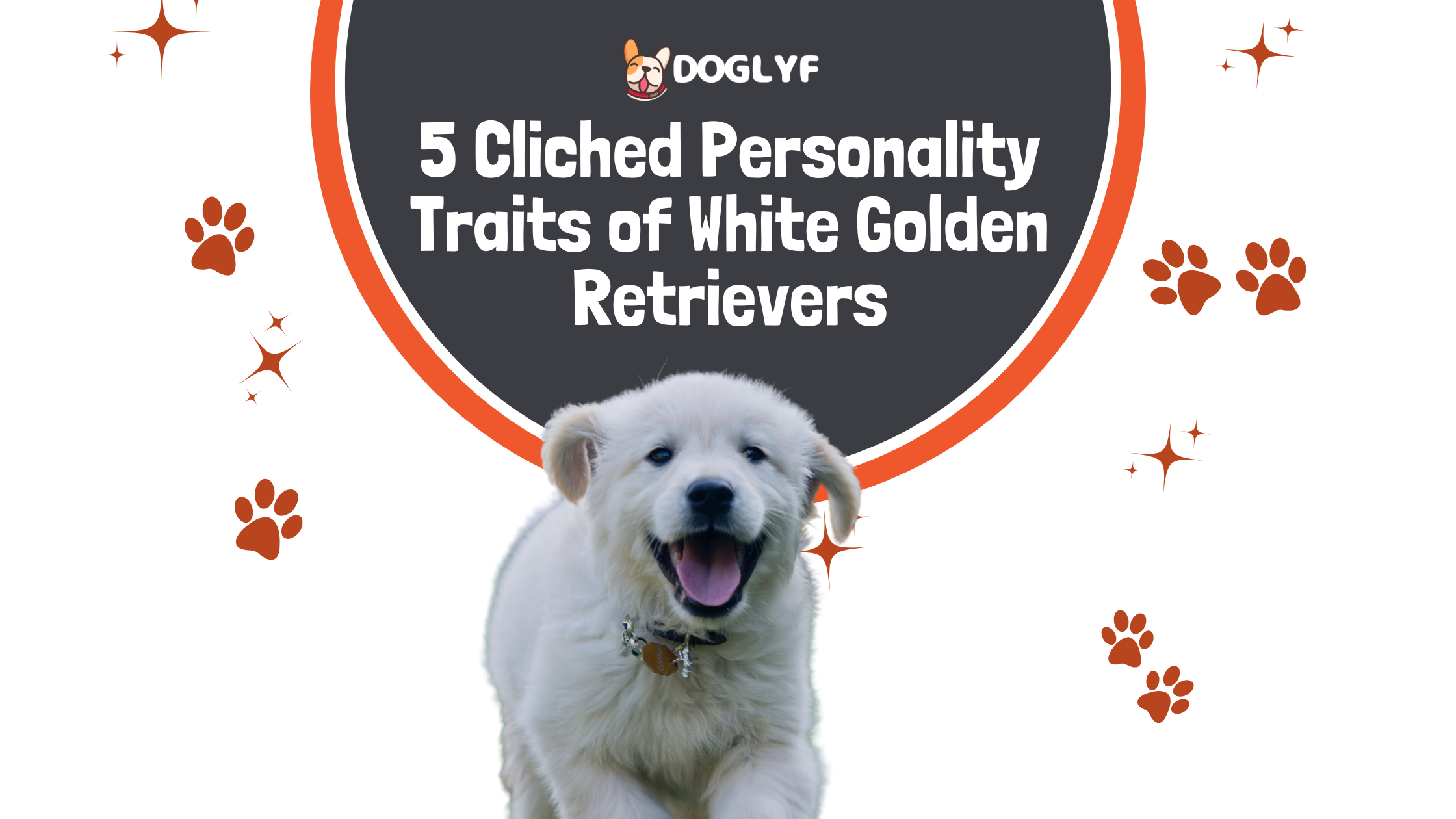 5 Cliched Personality Traits of White Golden Retrievers