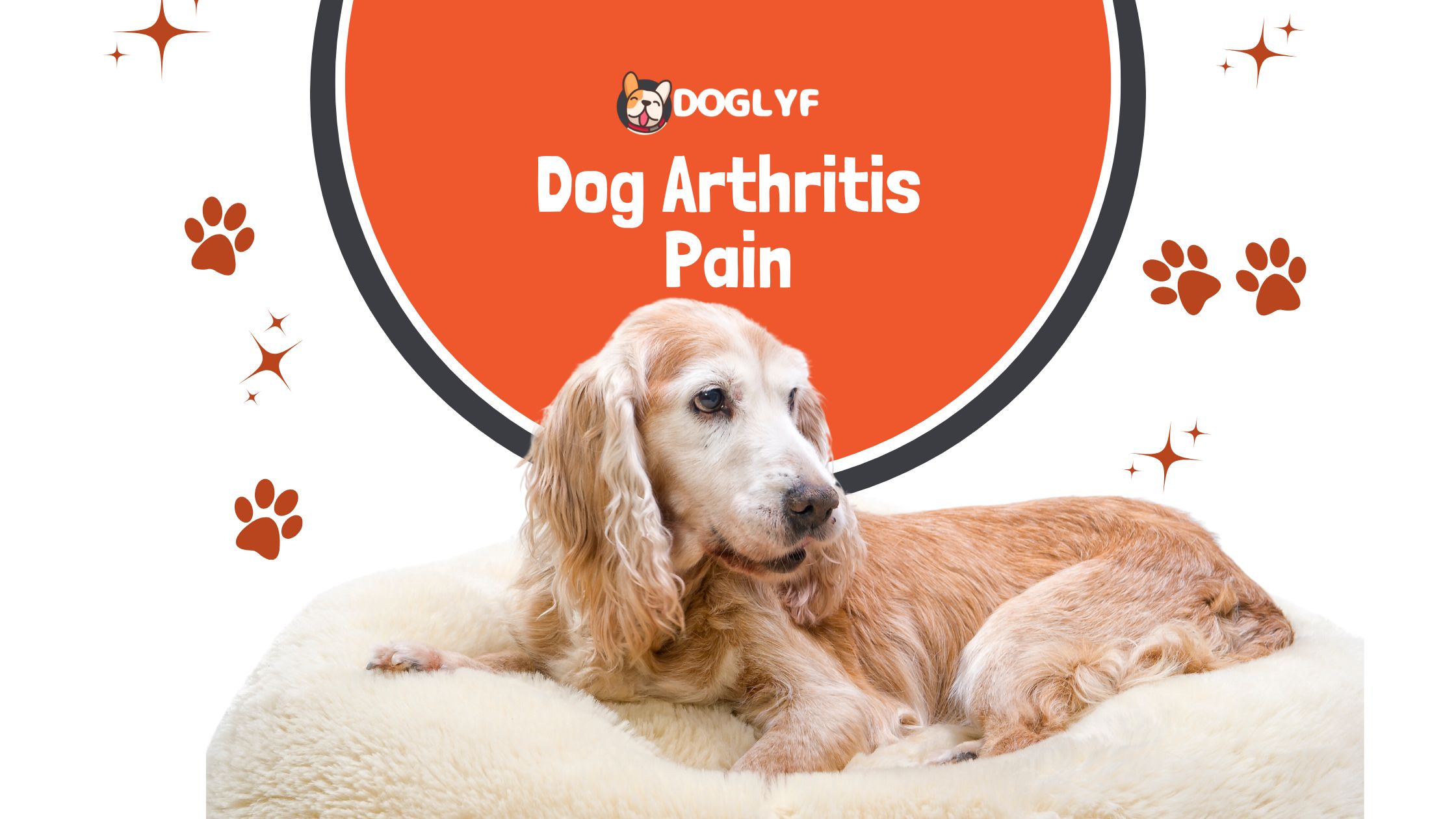 Dog Arthritis Pain