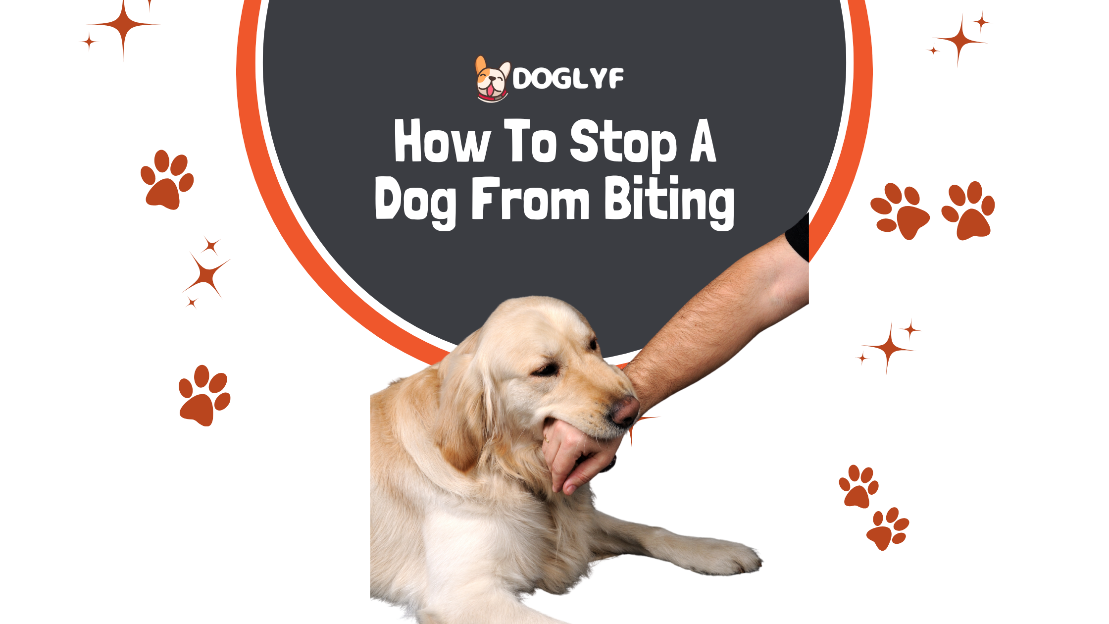 How To Stop A Dog From Biting – 3 Proven Methods