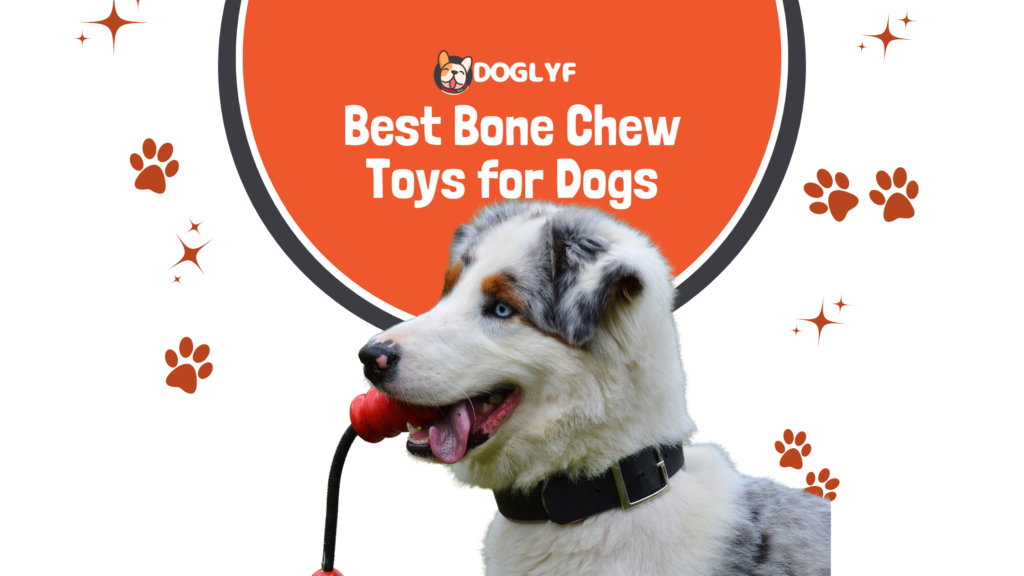 Top 5 Best Bone Chew Toys for Dogs: Discover the Power of Unmatched Quality in 2023!