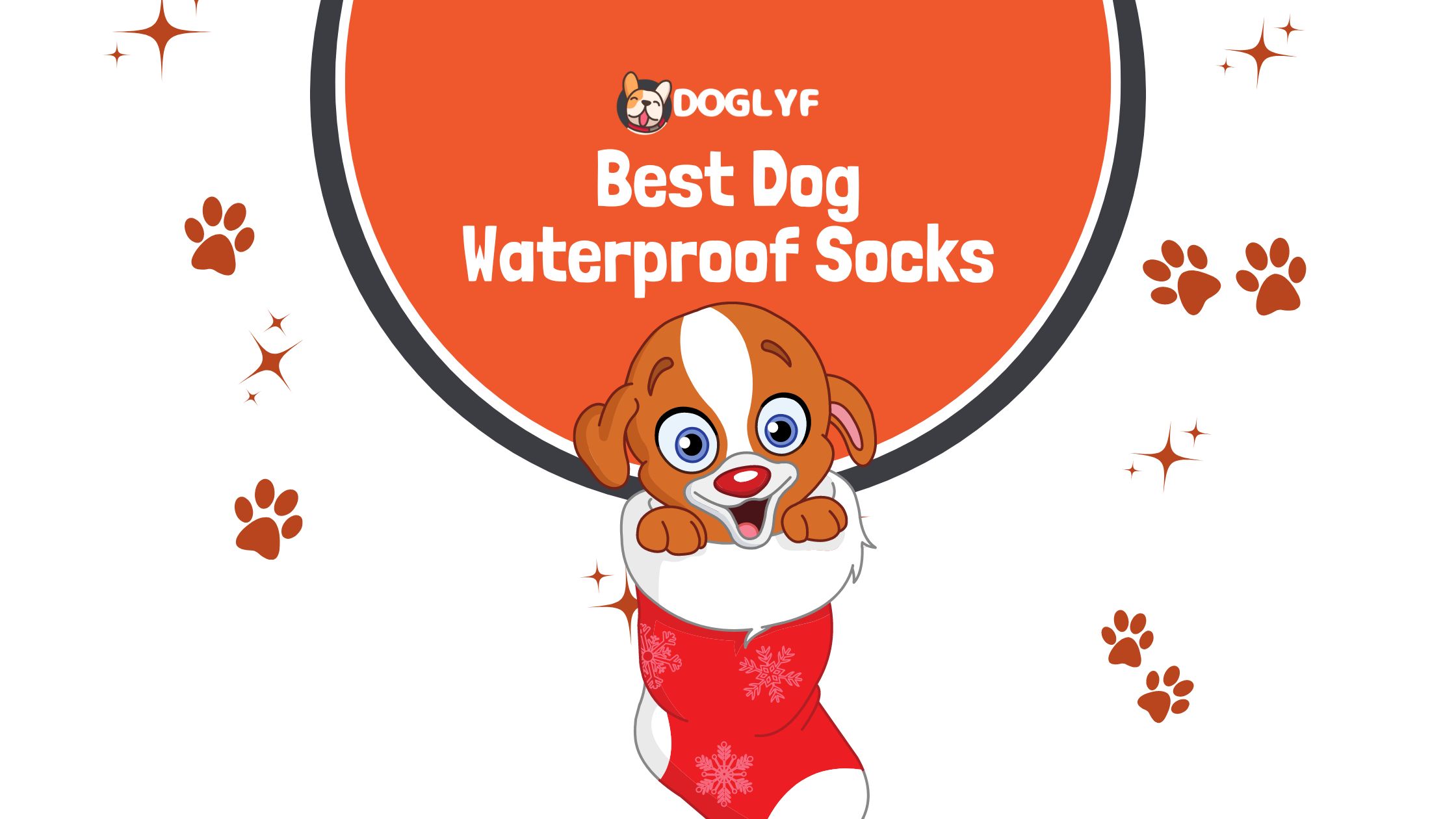 Best Dog Waterproof Socks