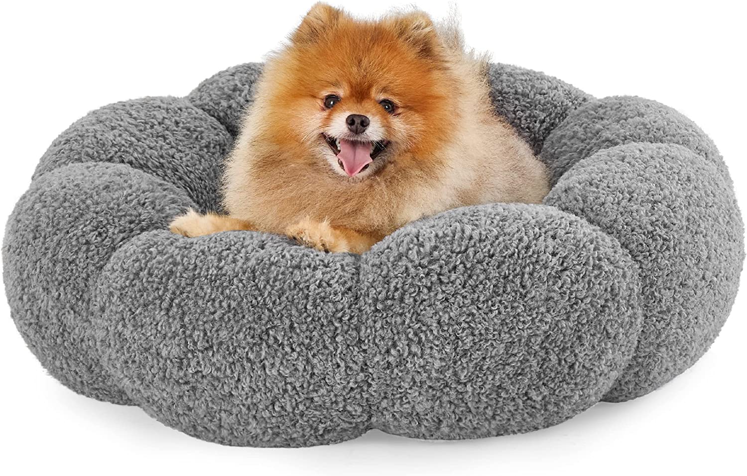 Lesure Calming Small Dog Bed