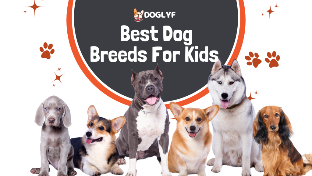 20+ Best Dog Breeds for Kids: Unlock the Magic of Pure Friendship with These Incredible Choices!