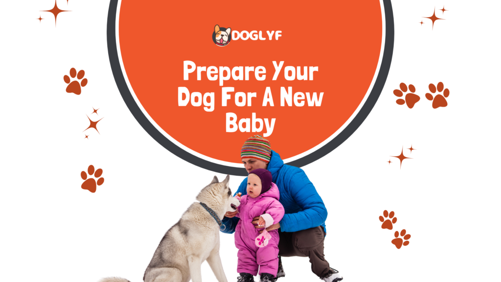 How To Prepare Your Dog For A New Baby: 7 Tips And Strategies
