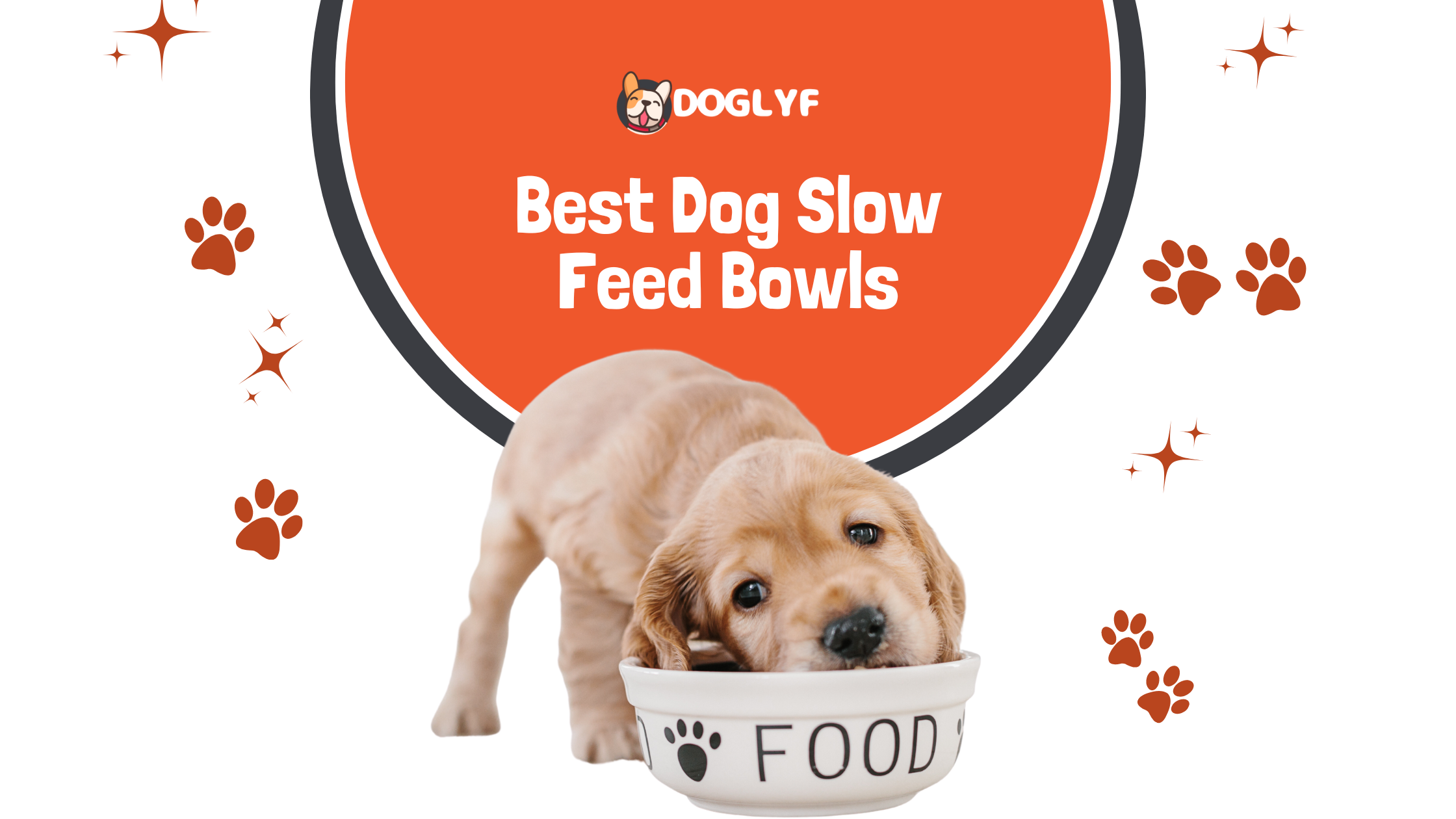 5 Best Slow Feed Dog Bowls for your beloved Pooch!