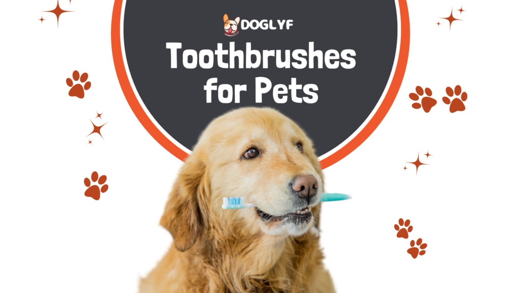 Unveiling the 7+ Best Toothbrushes for Pets: Unlock Supreme Oral Health